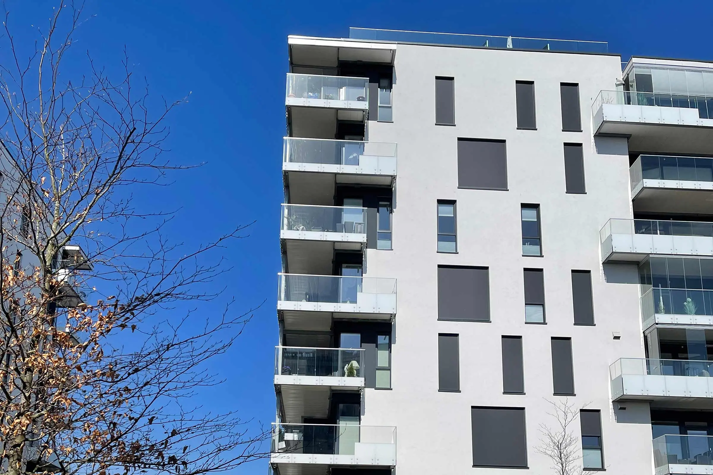 Rosenvinge Park Moss