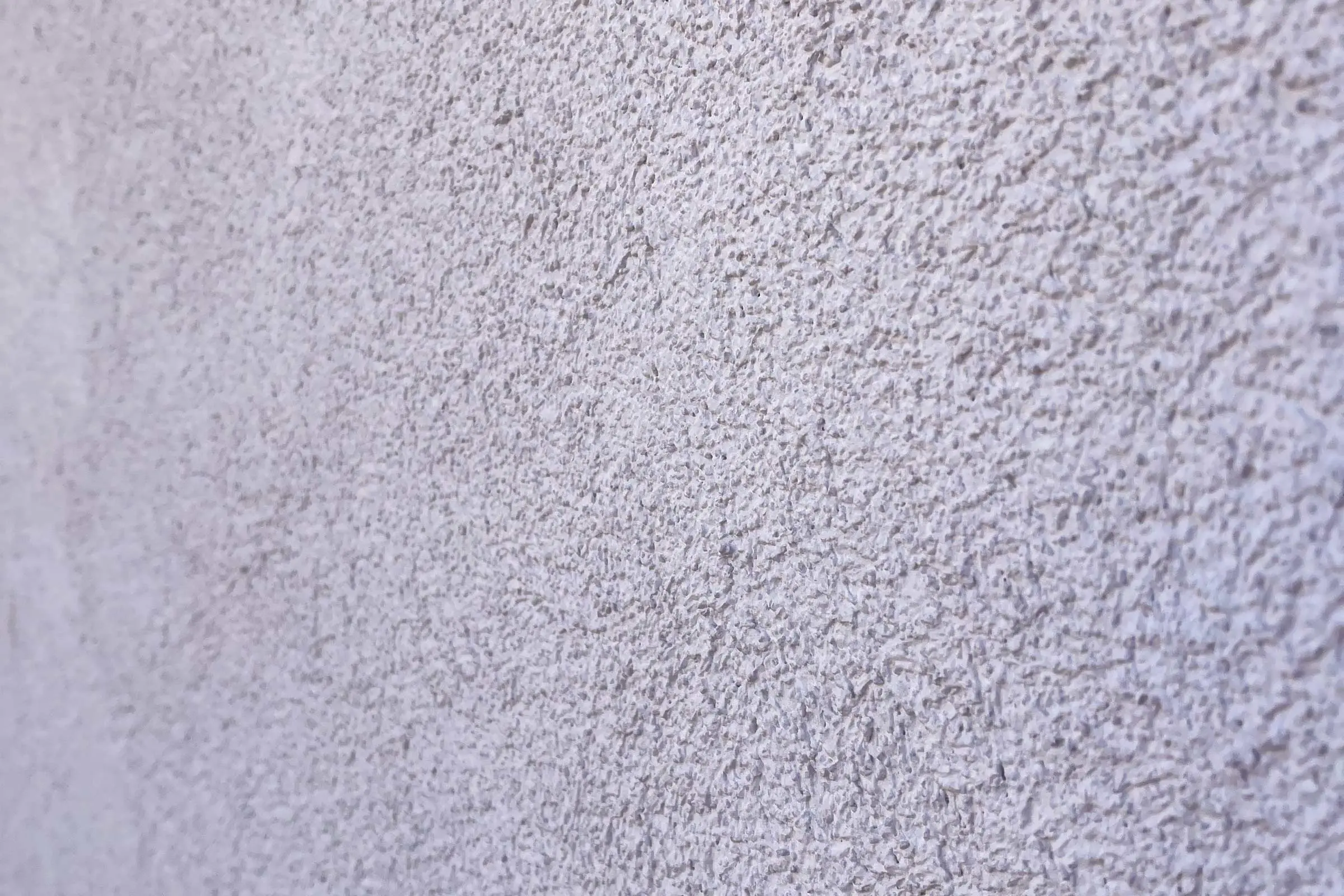 Rosenvinge Park Moss