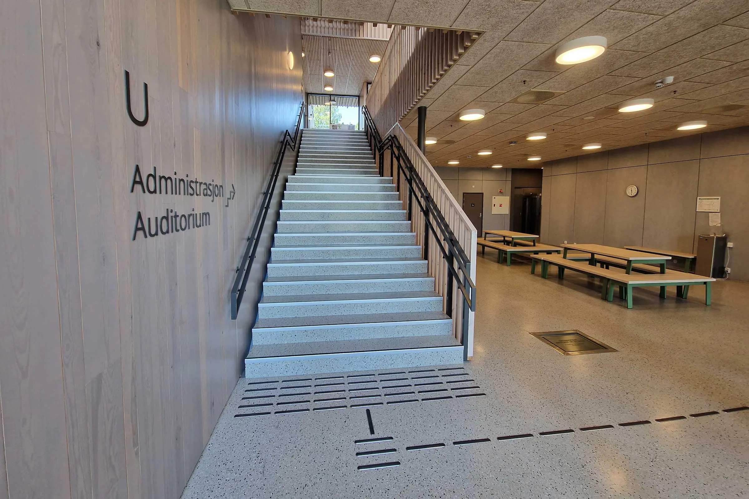 Solberg skole med Sto terrazzo gulv