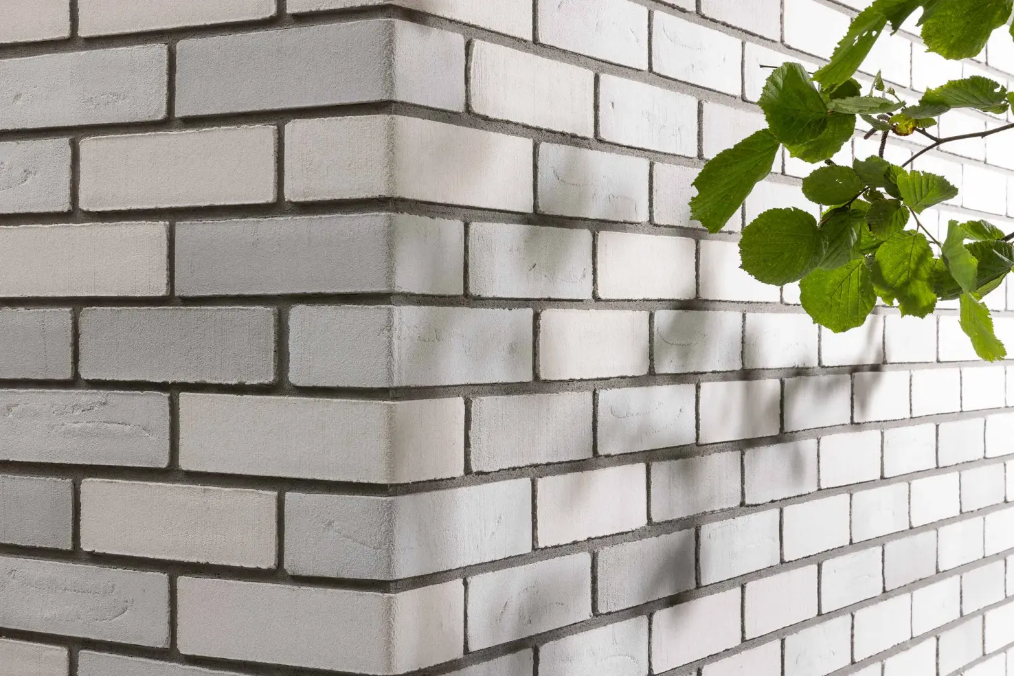 Bilde av StoCleyer B på en Sto fasade