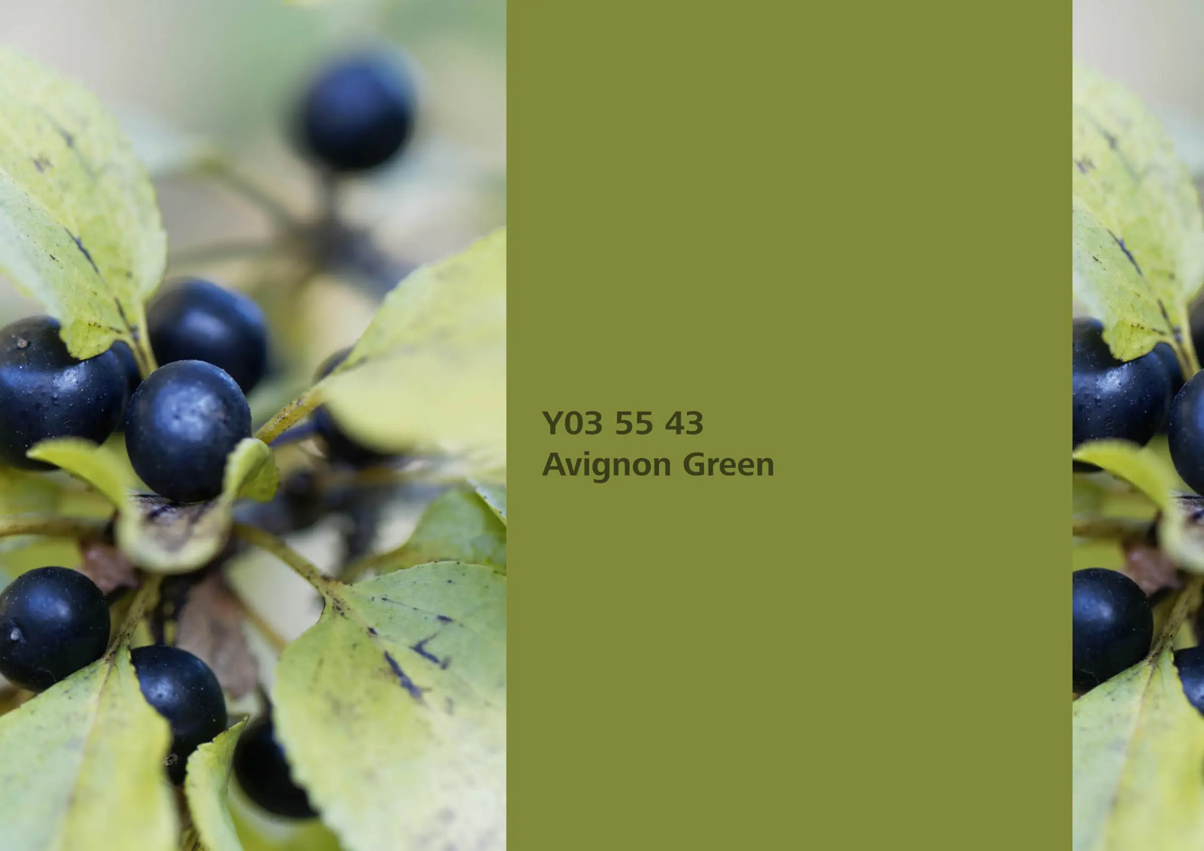 Nye fargetoner til Veggmaling eller takmaling fra Sto Norge, kreative fargekombinasjoner