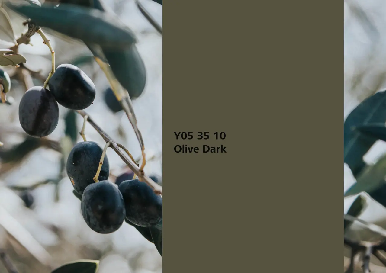 Nye fargetoner til Veggmaling eller takmaling fra Sto Norge, kreative fargekombinasjoner