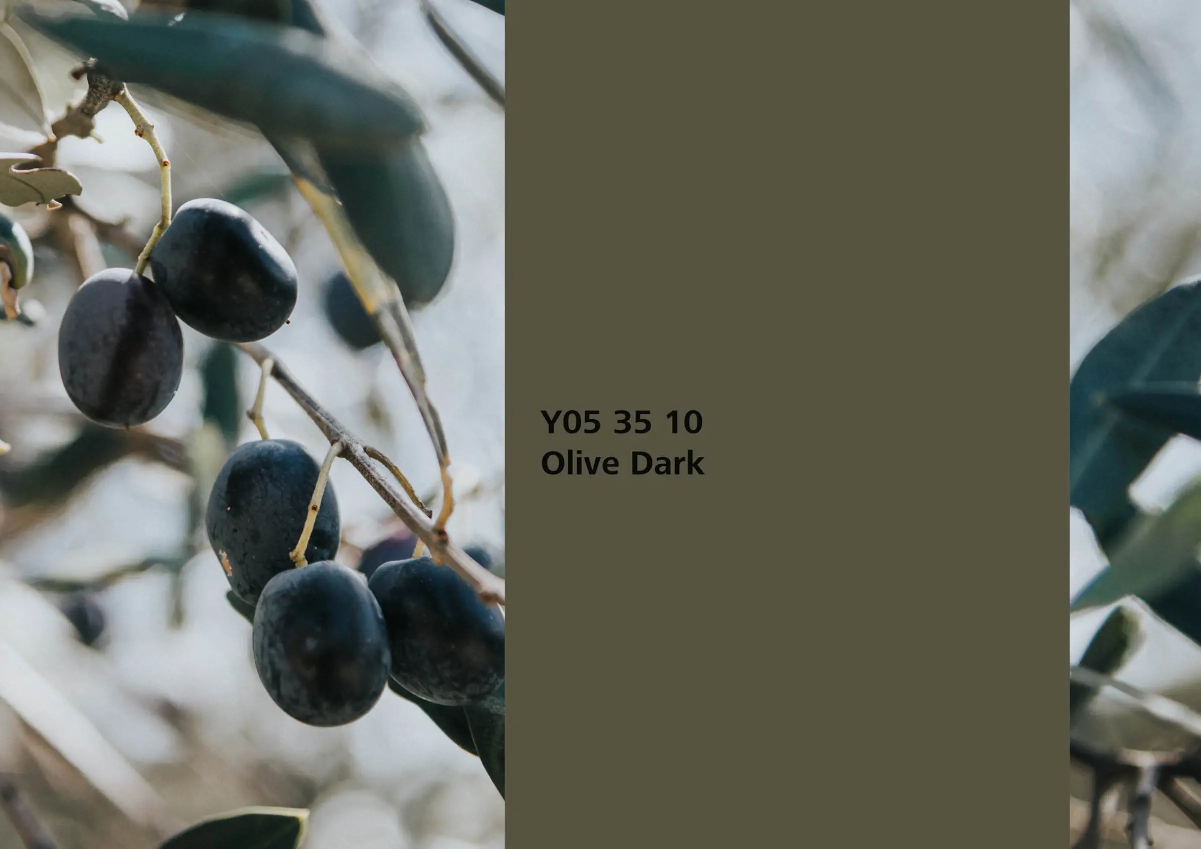 Nye fargetoner til Veggmaling eller takmaling fra Sto Norge, kreative fargekombinasjoner