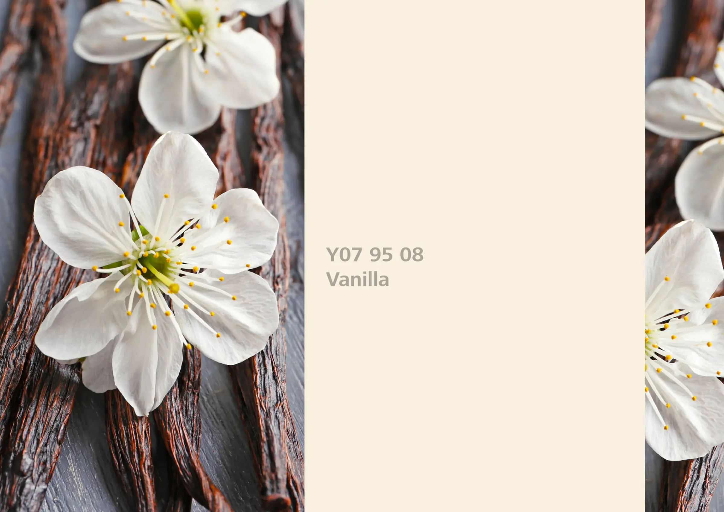 Nye fargetoner til Veggmaling eller takmaling fra Sto Norge, kreative fargekombinasjoner