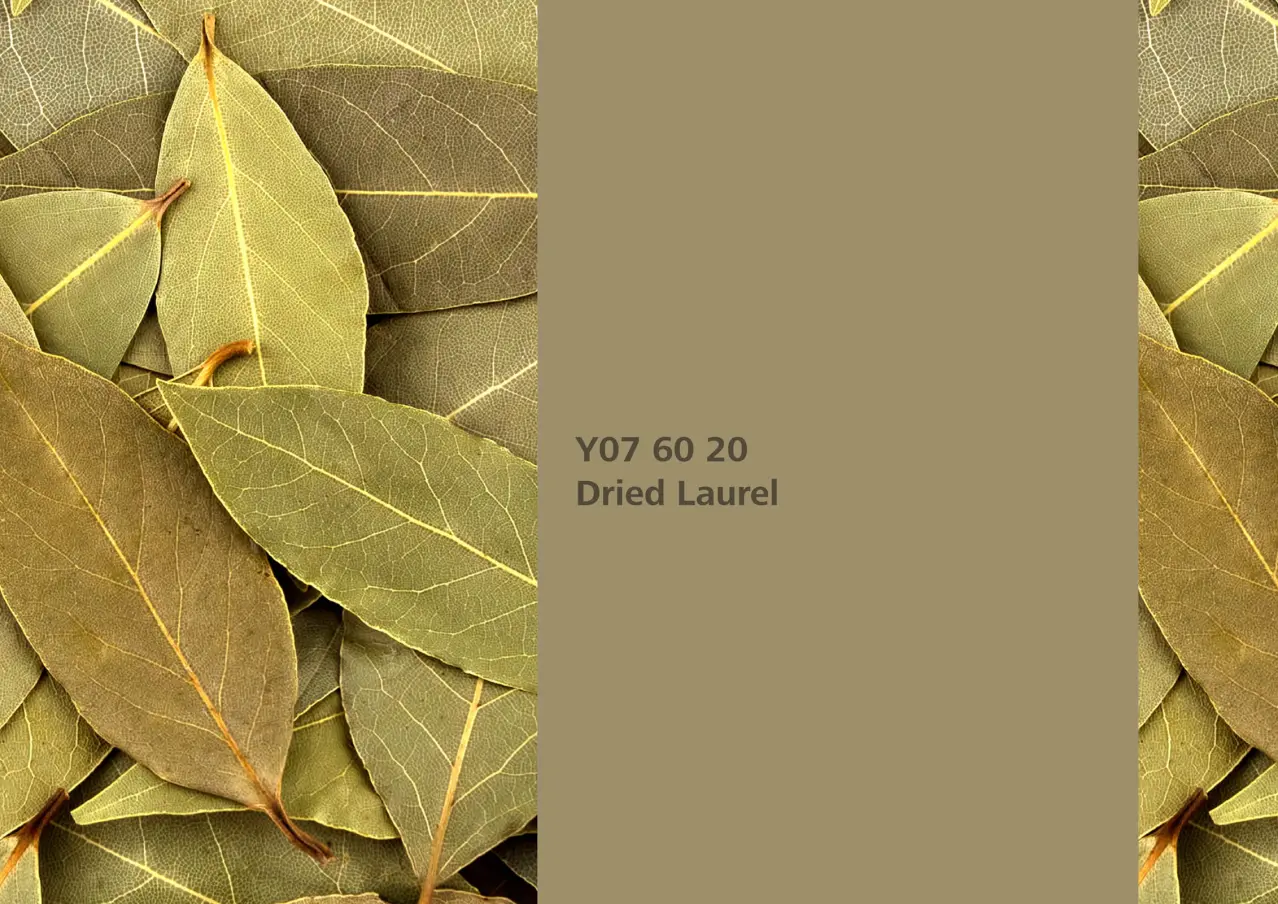 Nye fargetoner til Veggmaling eller takmaling fra Sto Norge, kreative fargekombinasjoner