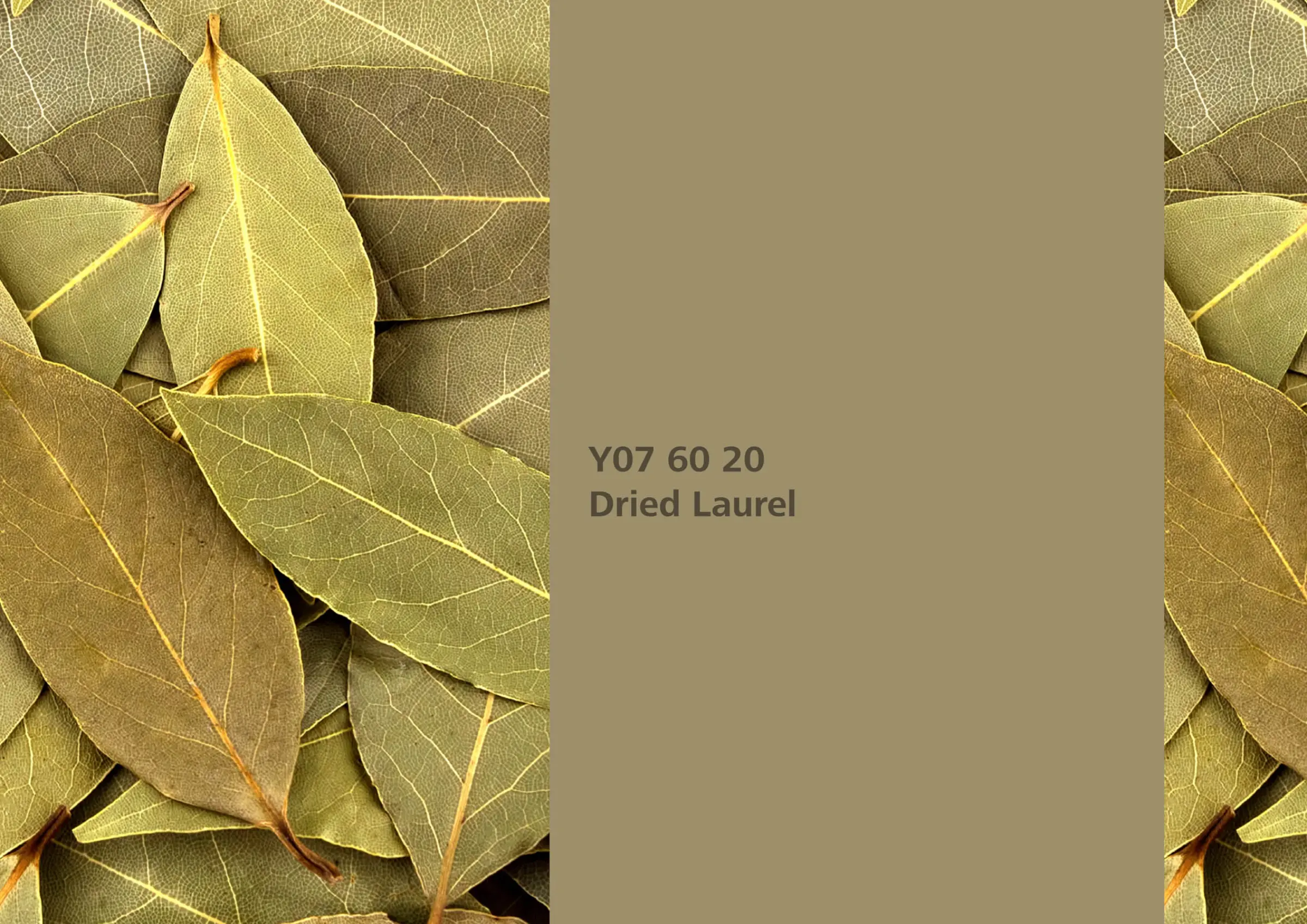 Nye fargetoner til Veggmaling eller takmaling fra Sto Norge, kreative fargekombinasjoner