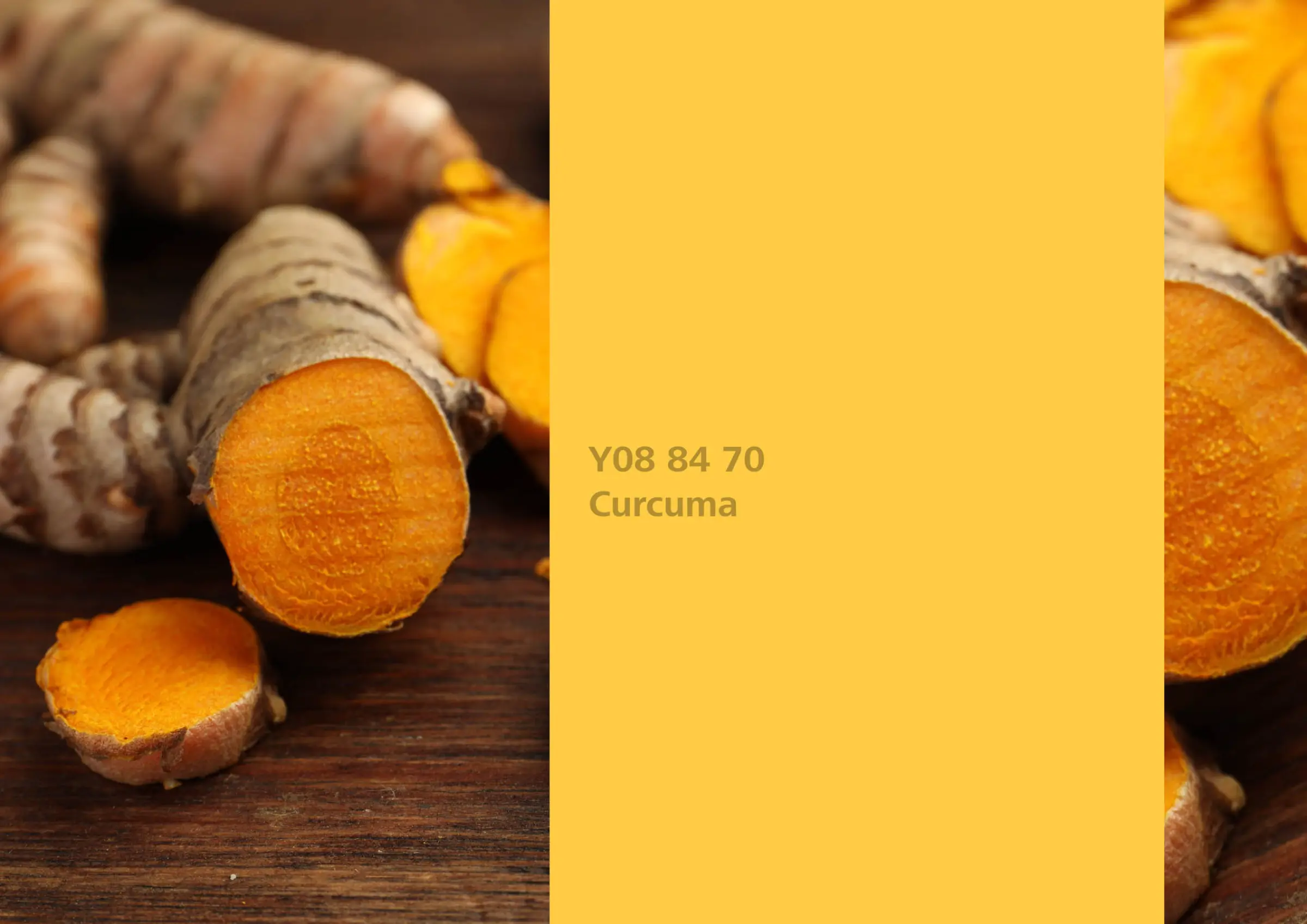 Nye fargetoner til Veggmaling eller takmaling fra Sto Norge, kreative fargekombinasjoner