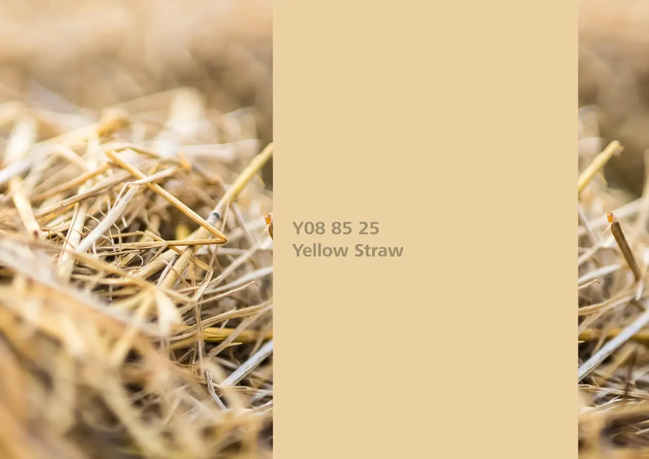 Nye fargetoner til Veggmaling eller takmaling fra Sto Norge, kreative fargekombinasjoner