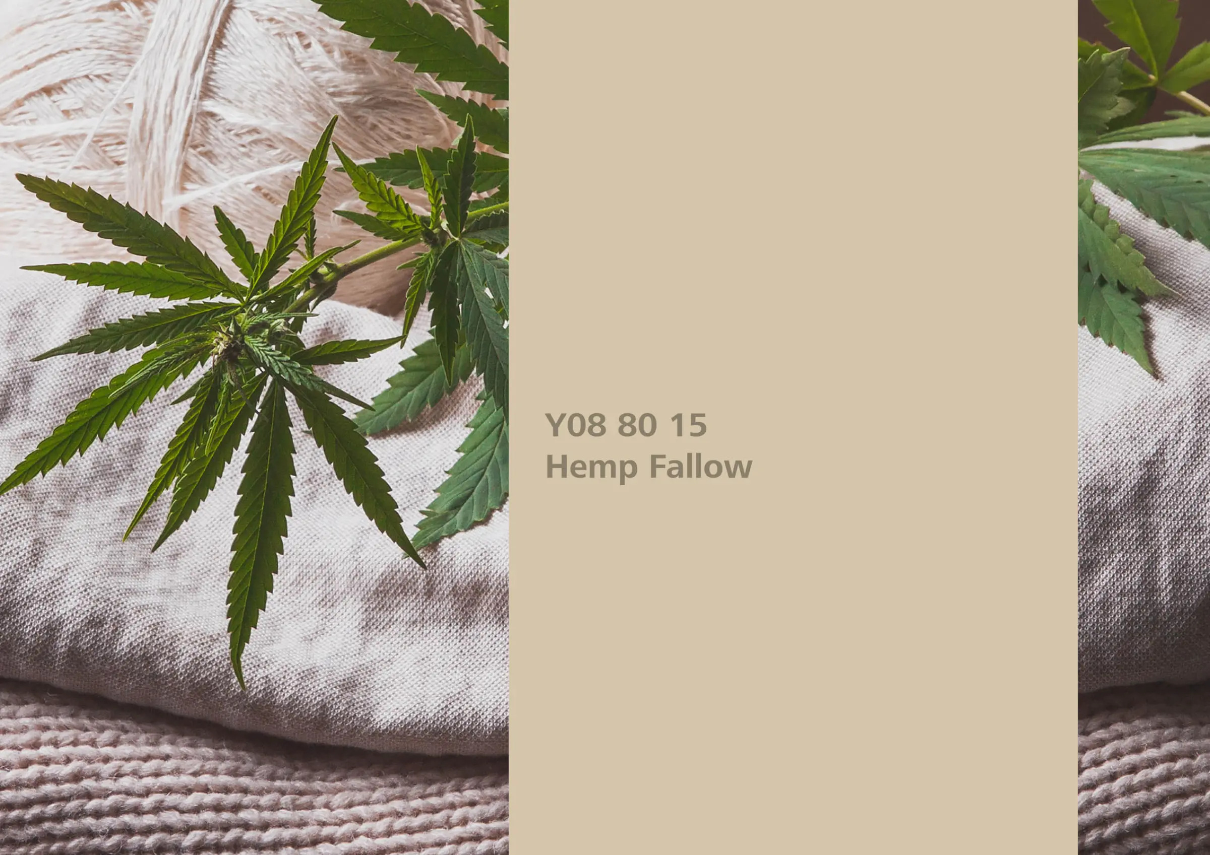 Nye fargetoner til Veggmaling eller takmaling fra Sto Norge, kreative fargekombinasjoner