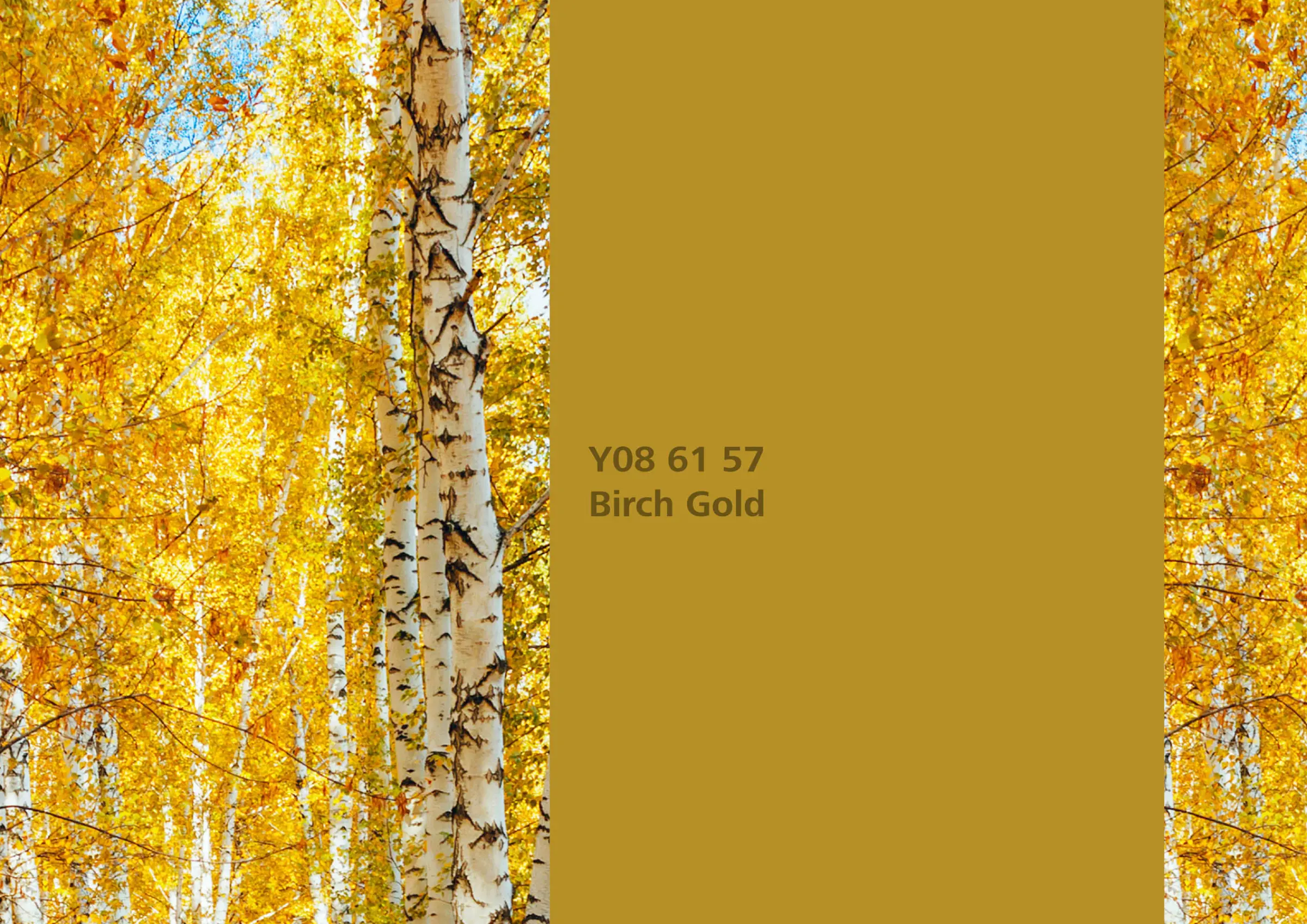 Nye fargetoner til Veggmaling eller takmaling fra Sto Norge, kreative fargekombinasjoner