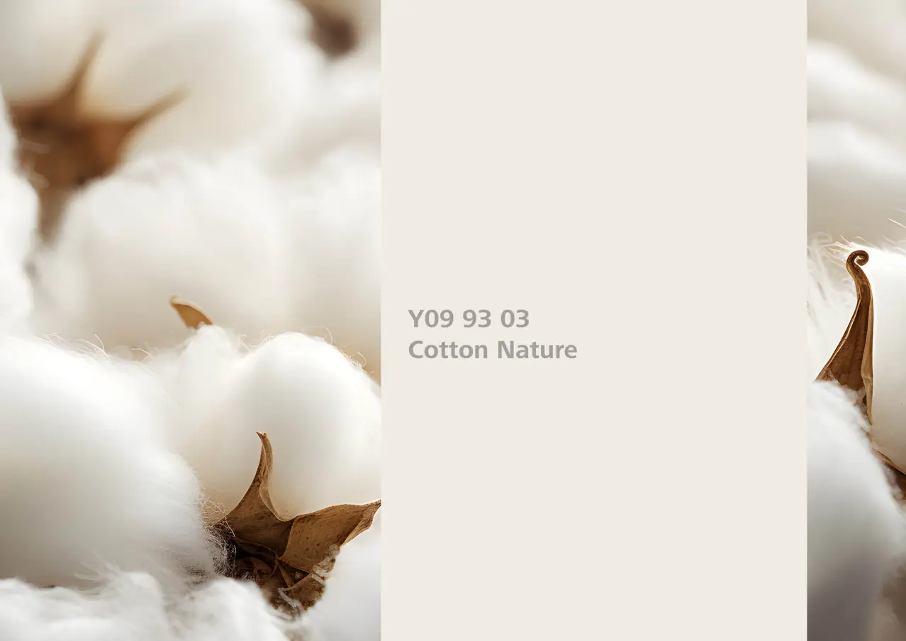 Nye fargetoner til Veggmaling eller takmaling fra Sto Norge, kreative fargekombinasjoner