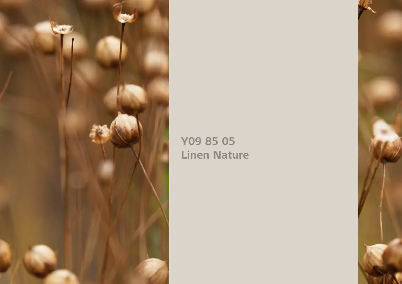 Nye fargetoner til Veggmaling eller takmaling fra Sto Norge, kreative fargekombinasjoner