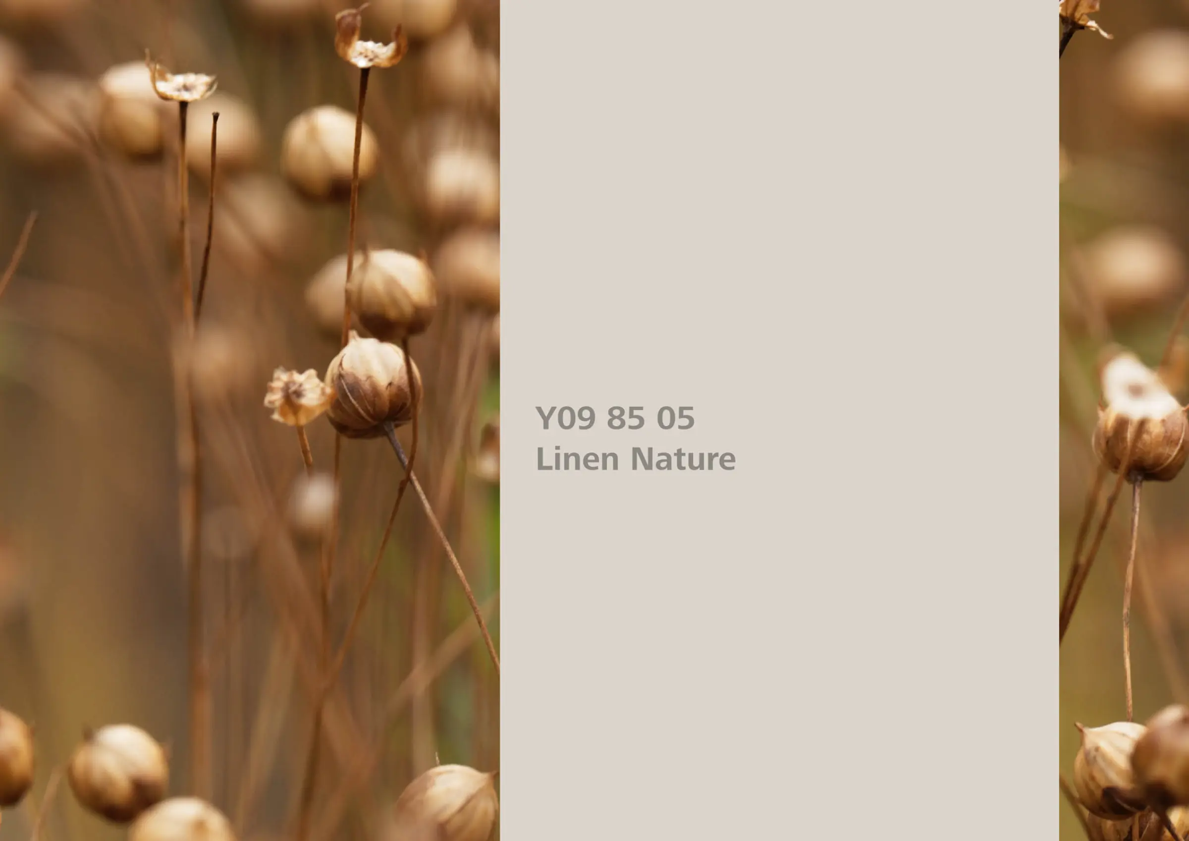 Nye fargetoner til Veggmaling eller takmaling fra Sto Norge, kreative fargekombinasjoner