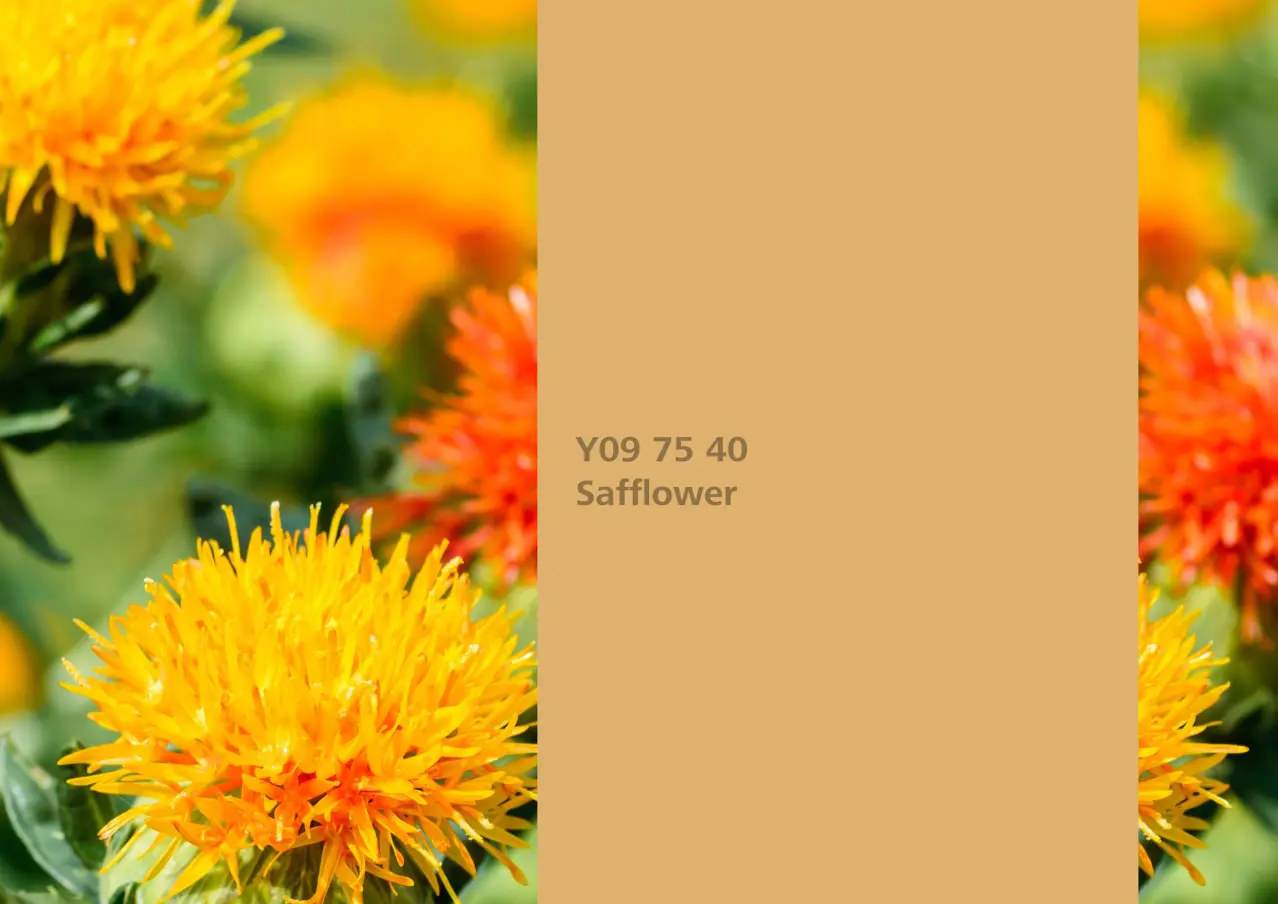 Nye fargetoner til Veggmaling eller takmaling fra Sto Norge, kreative fargekombinasjoner