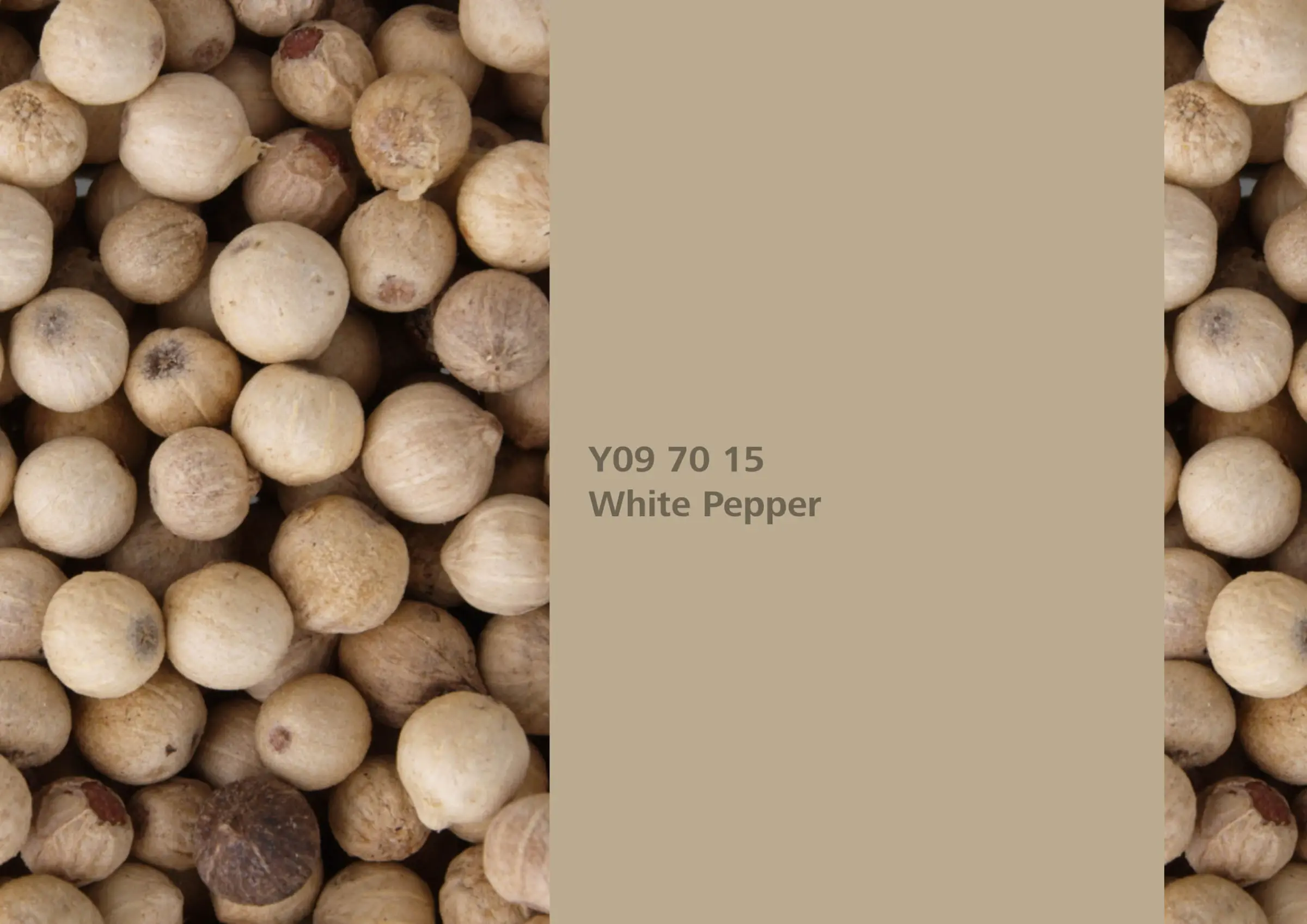 Nye fargetoner til Veggmaling eller takmaling fra Sto Norge, kreative fargekombinasjoner