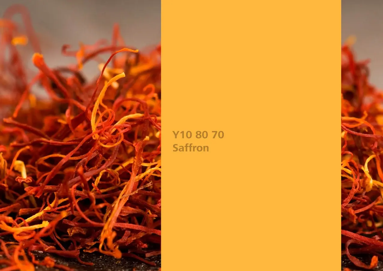 Nye fargetoner til Veggmaling eller takmaling fra Sto Norge, kreative fargekombinasjoner