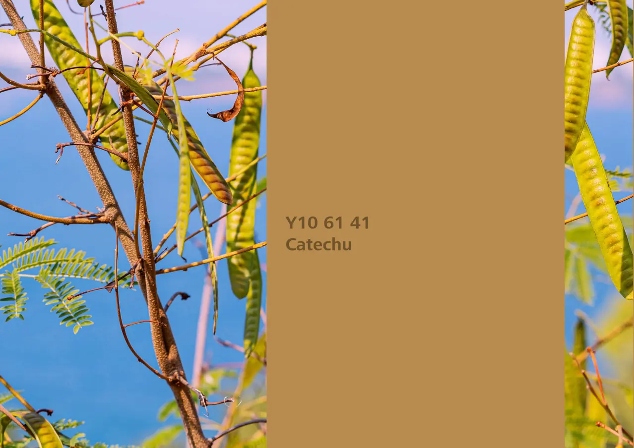 Nye fargetoner til Veggmaling eller takmaling fra Sto Norge, kreative fargekombinasjoner