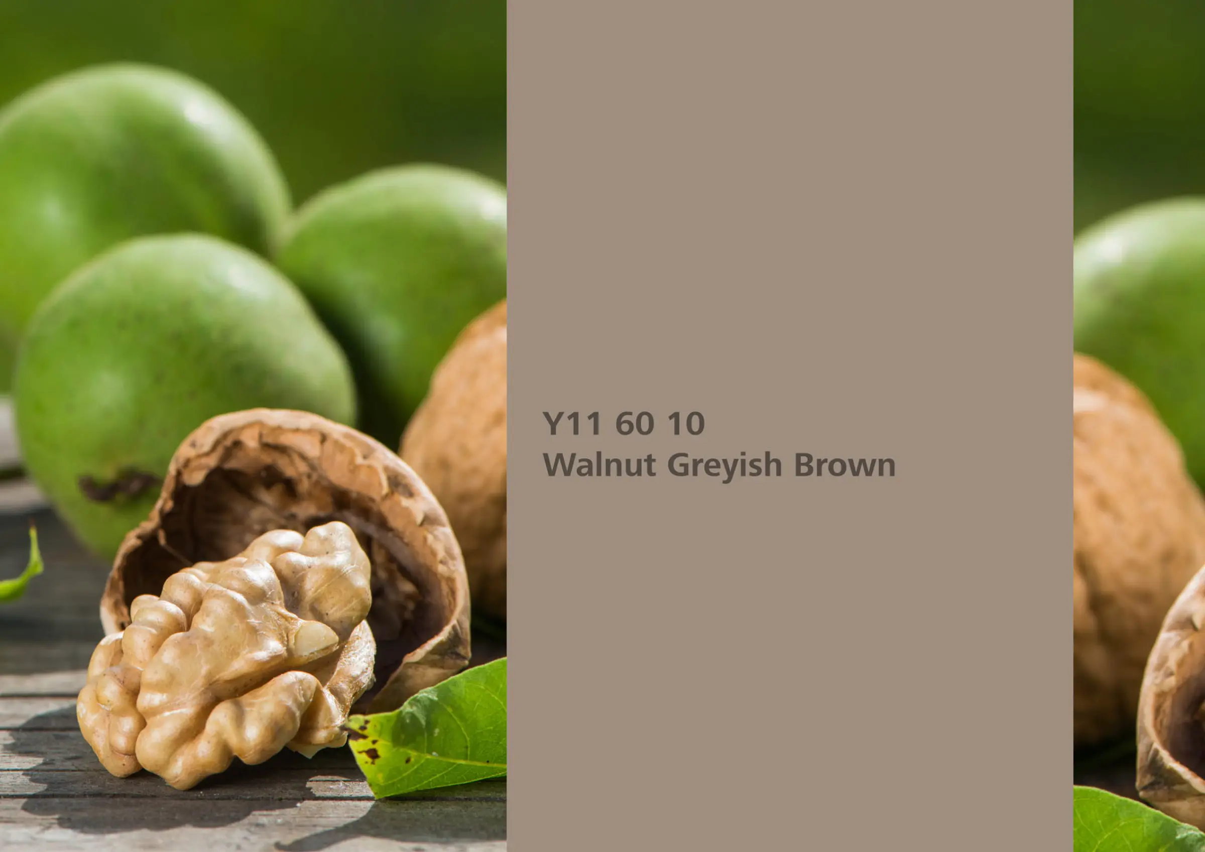 Nye fargetoner til Veggmaling eller takmaling fra Sto Norge, kreative fargekombinasjoner