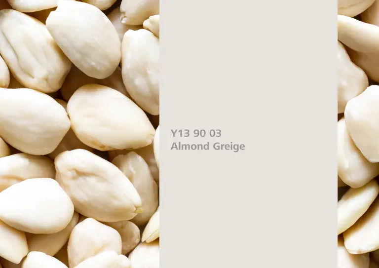 StoColor interior 24 pluss